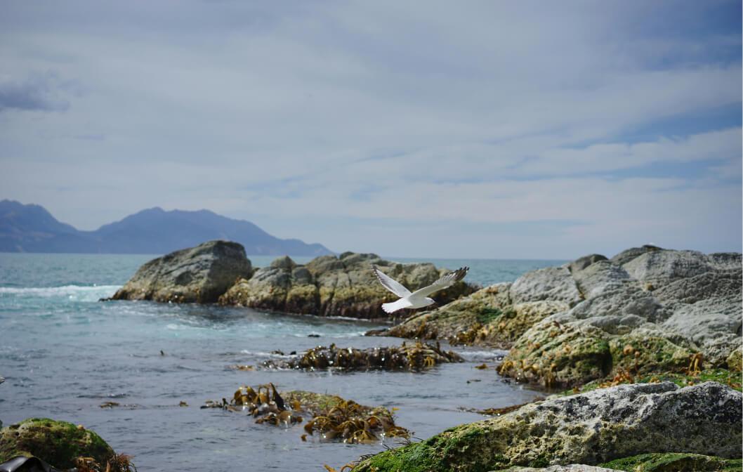 Kaikōura, New Zealand