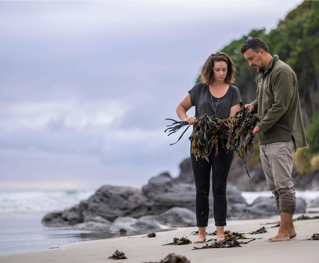 Man and woman on beach looking at Kelp