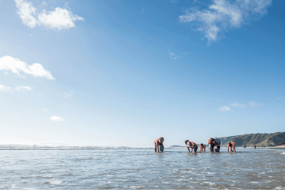 Whanau collecting shellfish